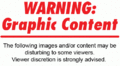 Thumbnail for version as of 13:33, 9 July 2023