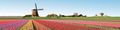 Thumbnail for version as of 20:08, 30 March 2022